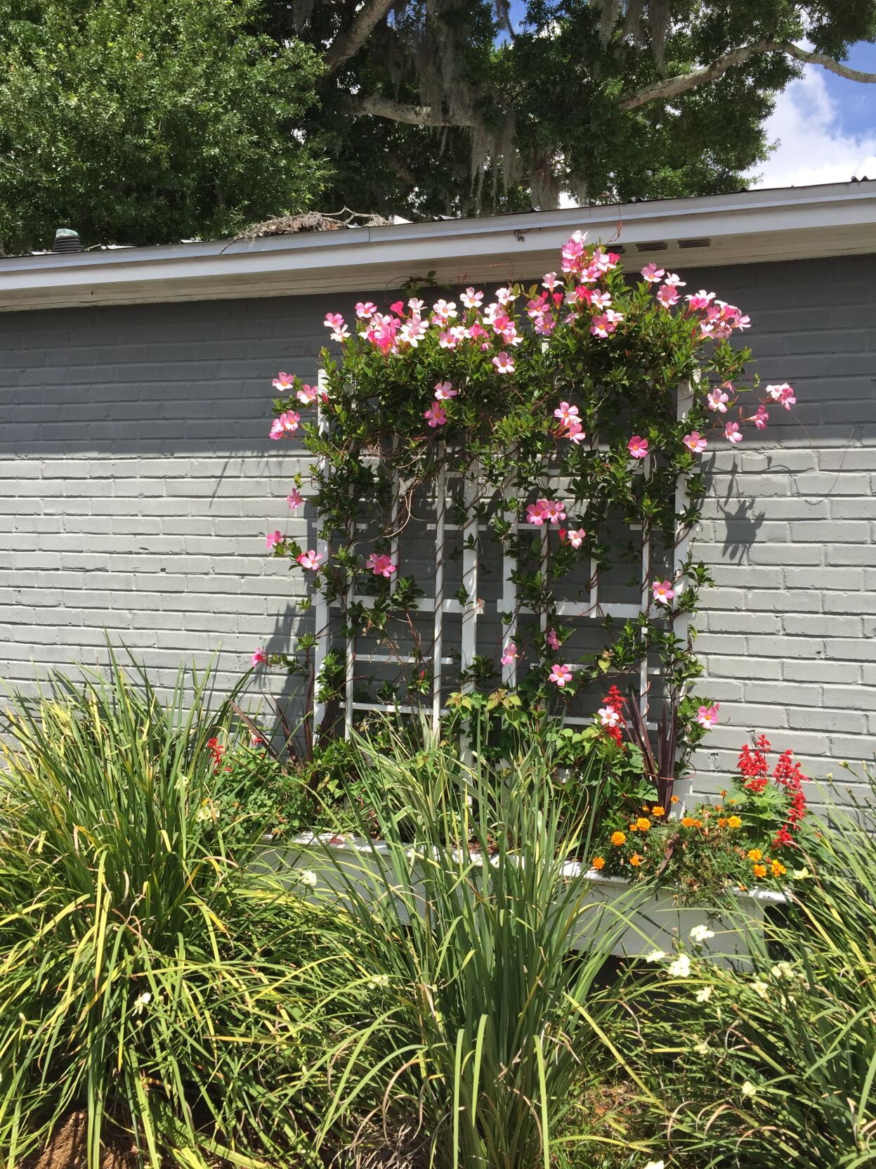 Pretty window